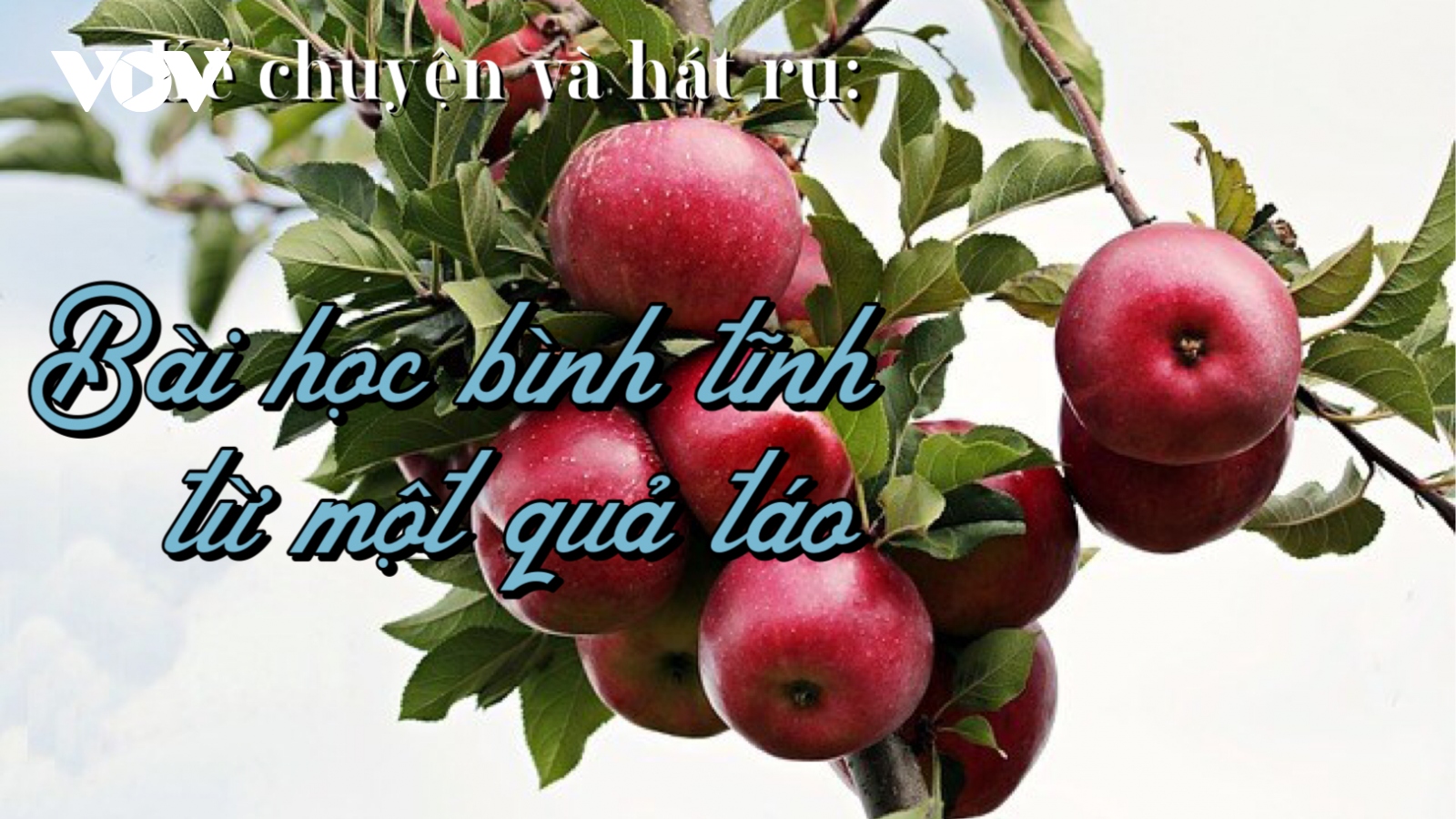 Bài học bình tĩnh từ một quả táo